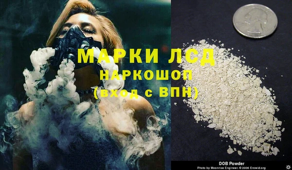 прущие грибы Горнозаводск