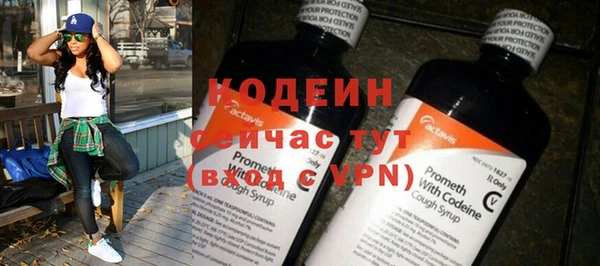 индика Пестово