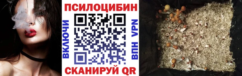Псилоцибиновые грибы Psilocybine cubensis  Купить закладки  Липки 